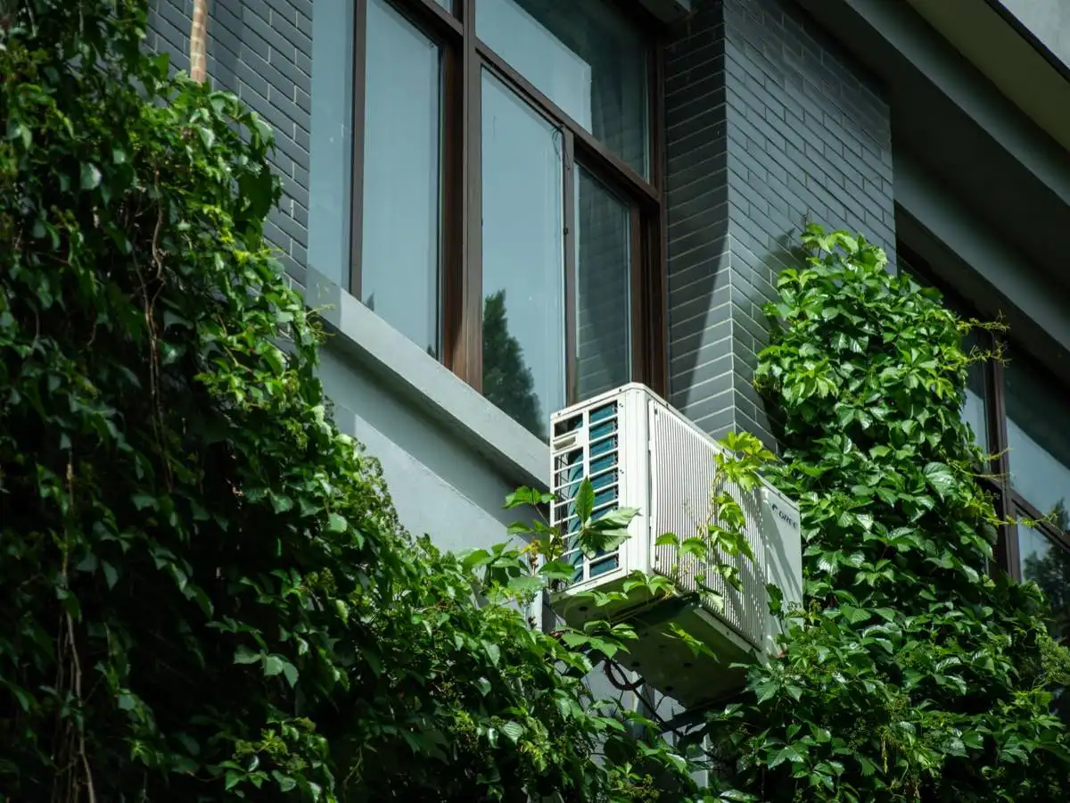 Energy-Efficient Windows in Shoreline, WA